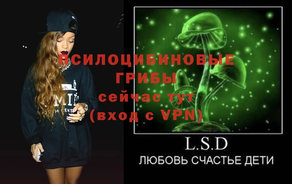 мяу мяу мука Абаза