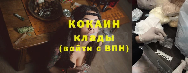 мдпв Козловка
