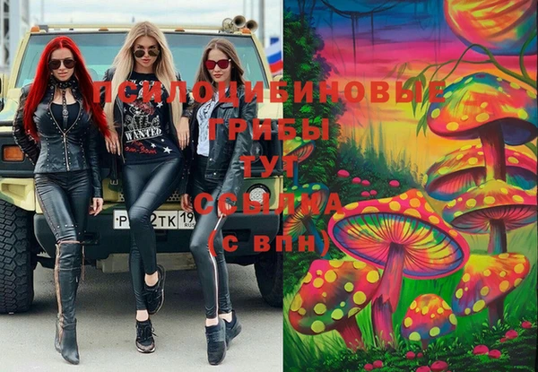 сатива Абдулино