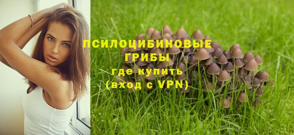 соль ск Абинск