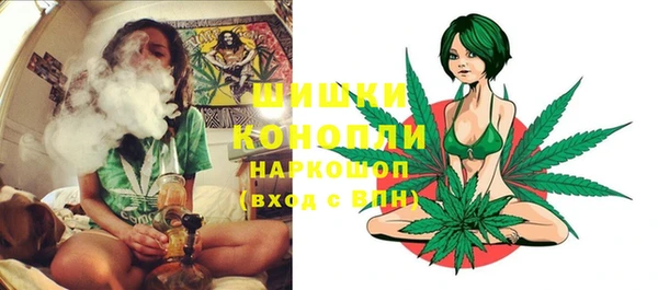 сатива Абдулино
